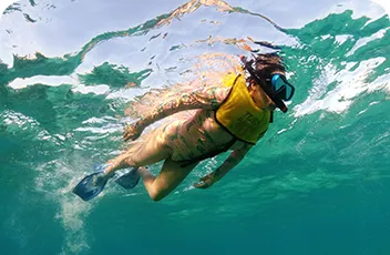 snorkel